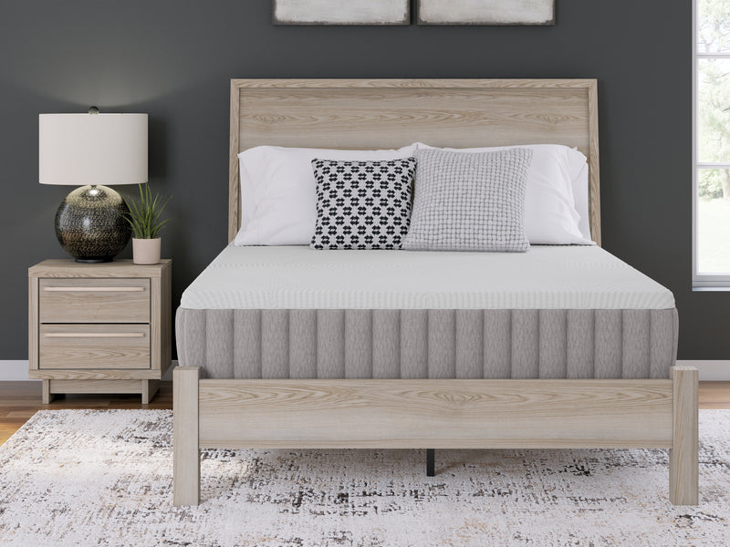 Terra Sleep Medium Mattresses